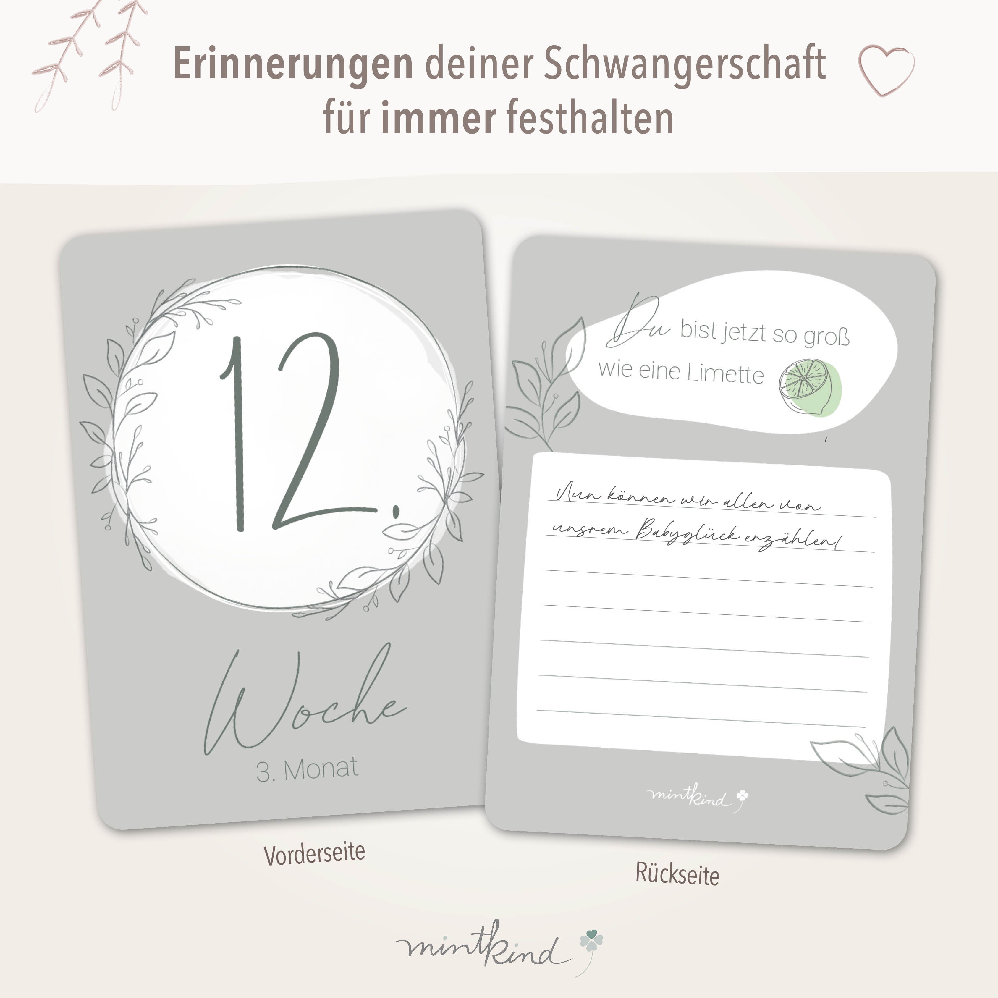 Meilensteinkarten Schwangerschaft Beige