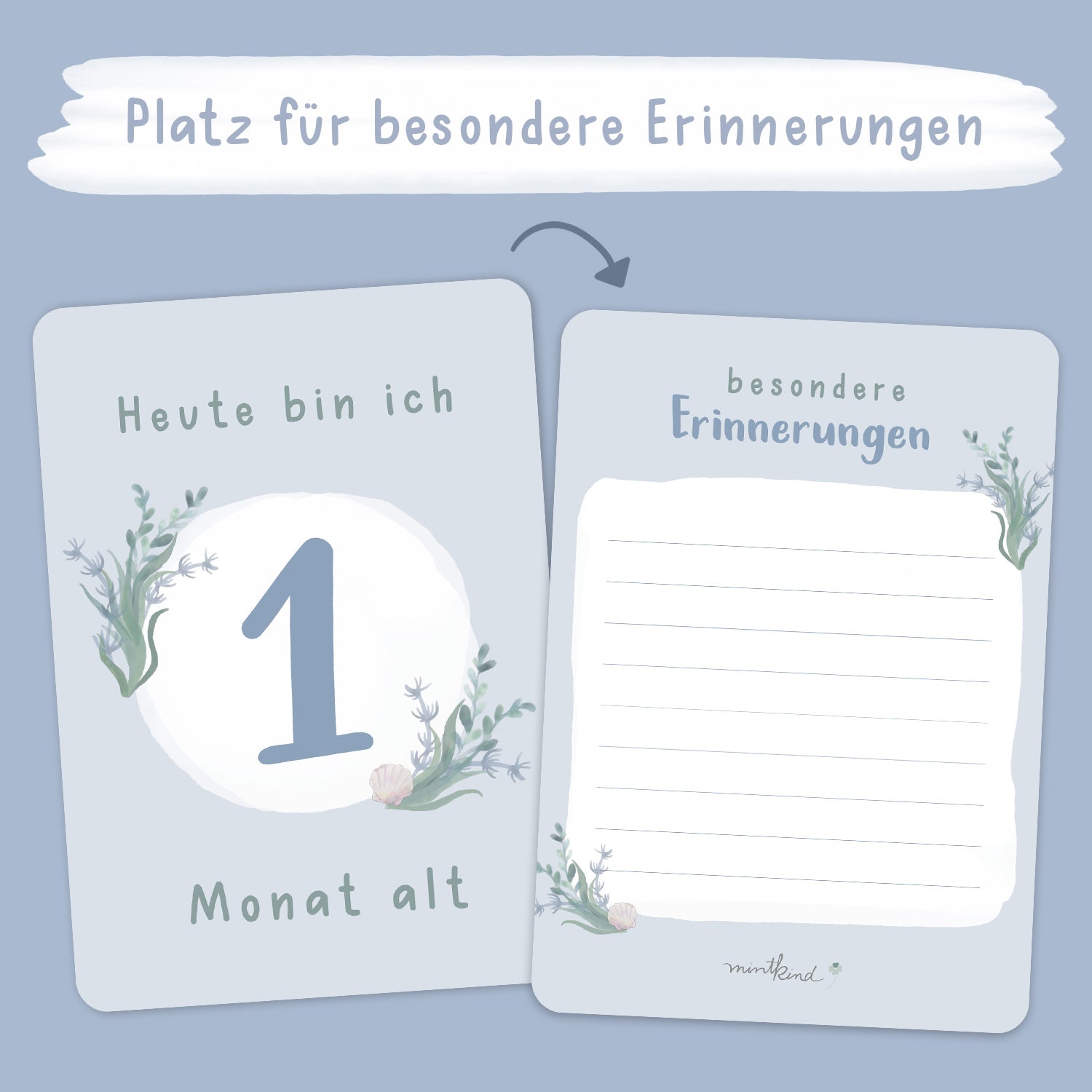 Meilensteinkarten Baby Blau