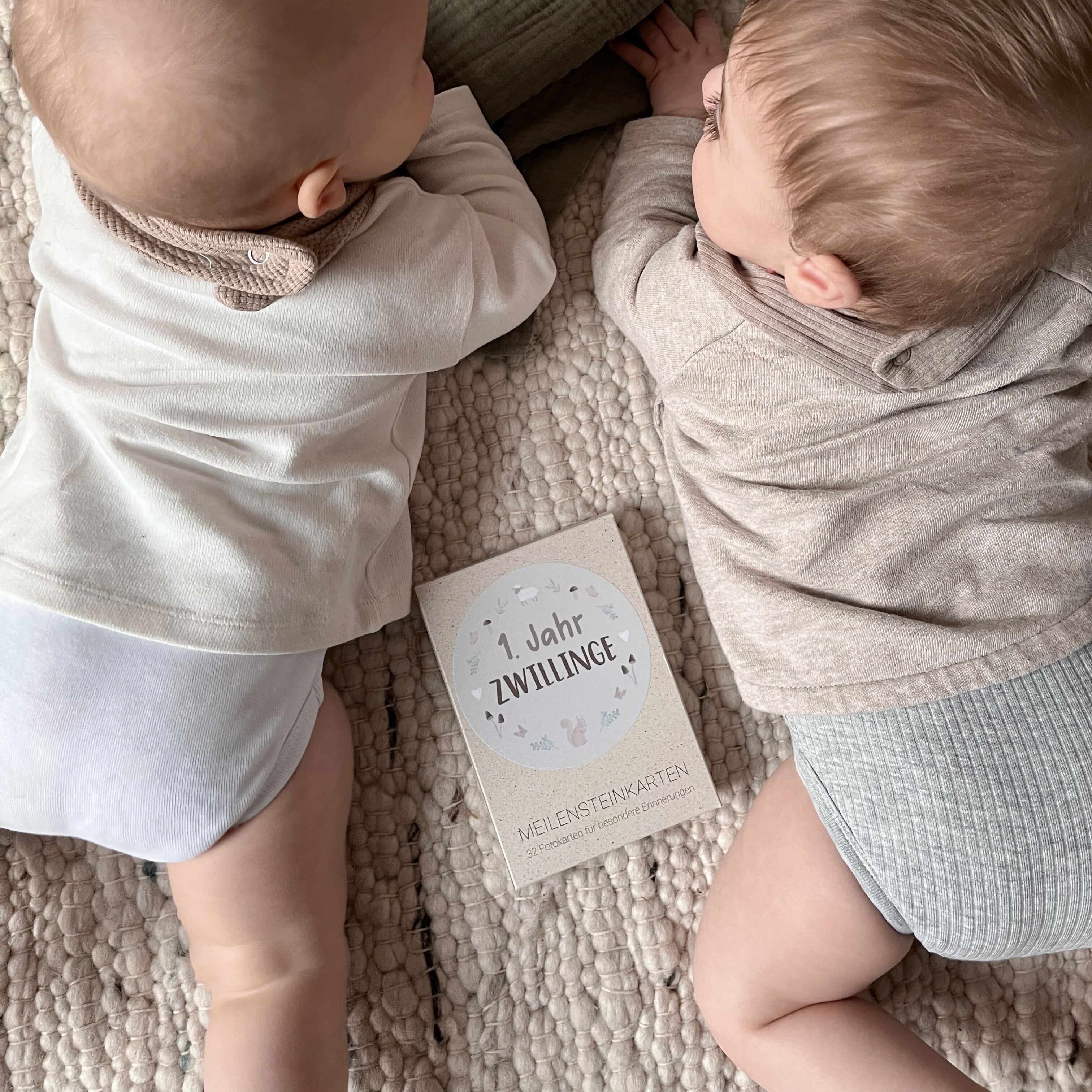 Meilensteinkarten Baby Zwillinge