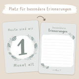 Meilensteinkarten Baby Zwillinge