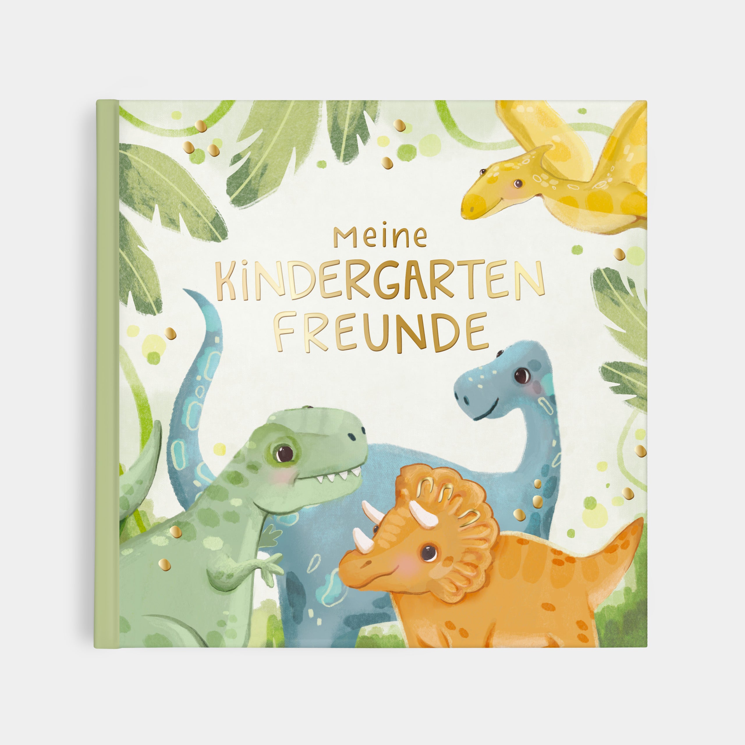 Freundebuch Kindergarten Dino quadratisch groß