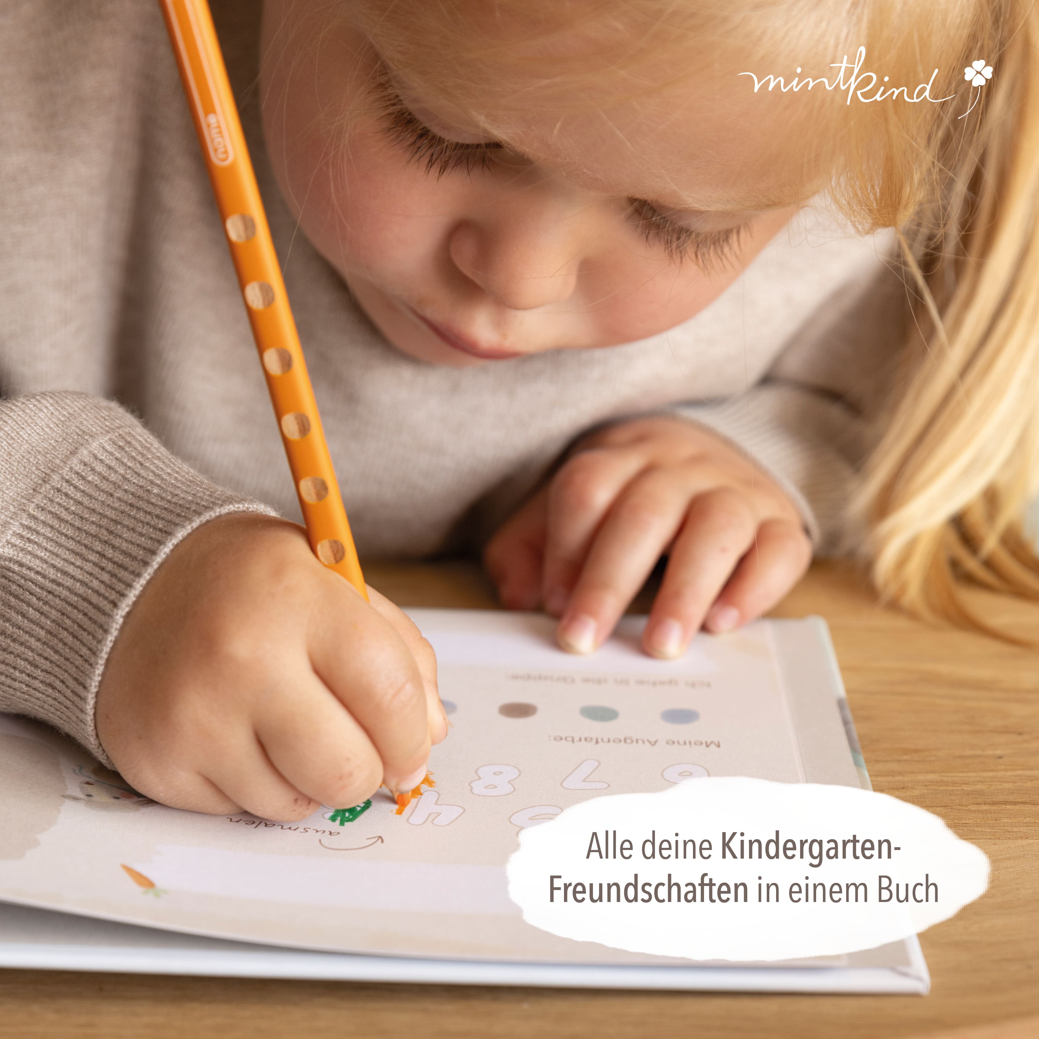 Freundebuch Kindergarten Dino quadratisch groß