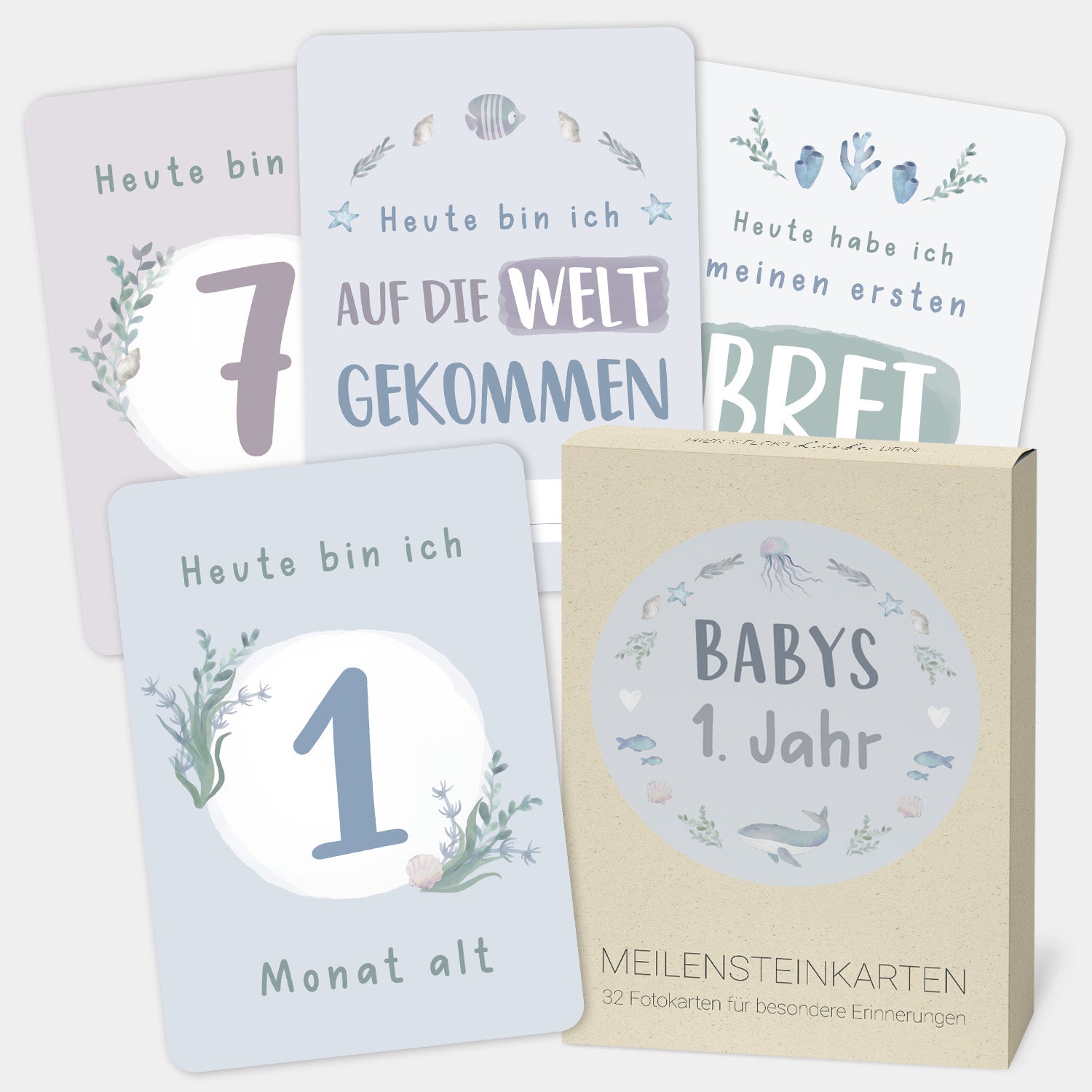 Meilensteinkarten Baby Blau