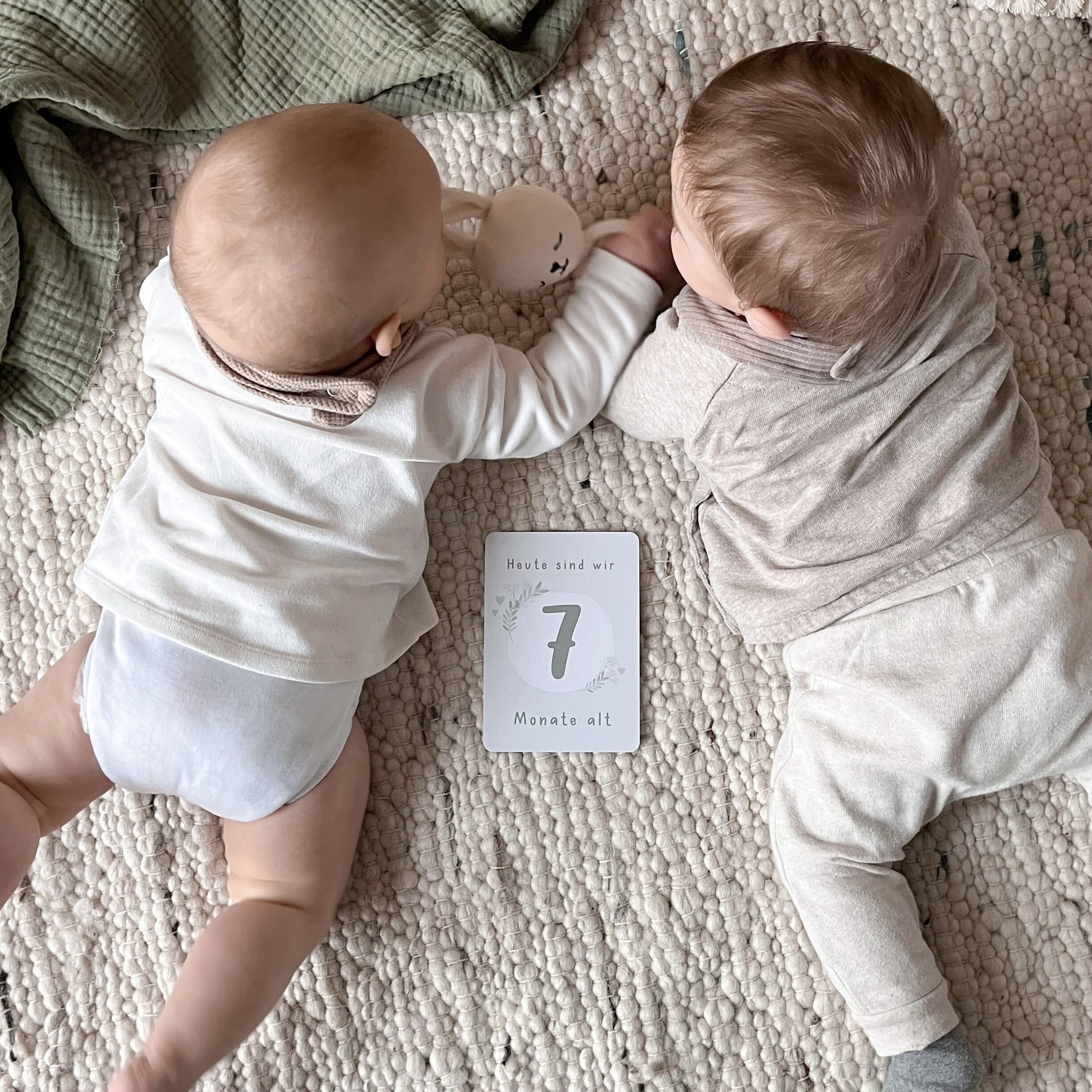 Meilensteinkarten Baby Zwillinge