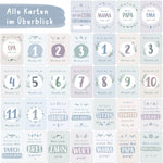 Meilensteinkarten Baby Blau