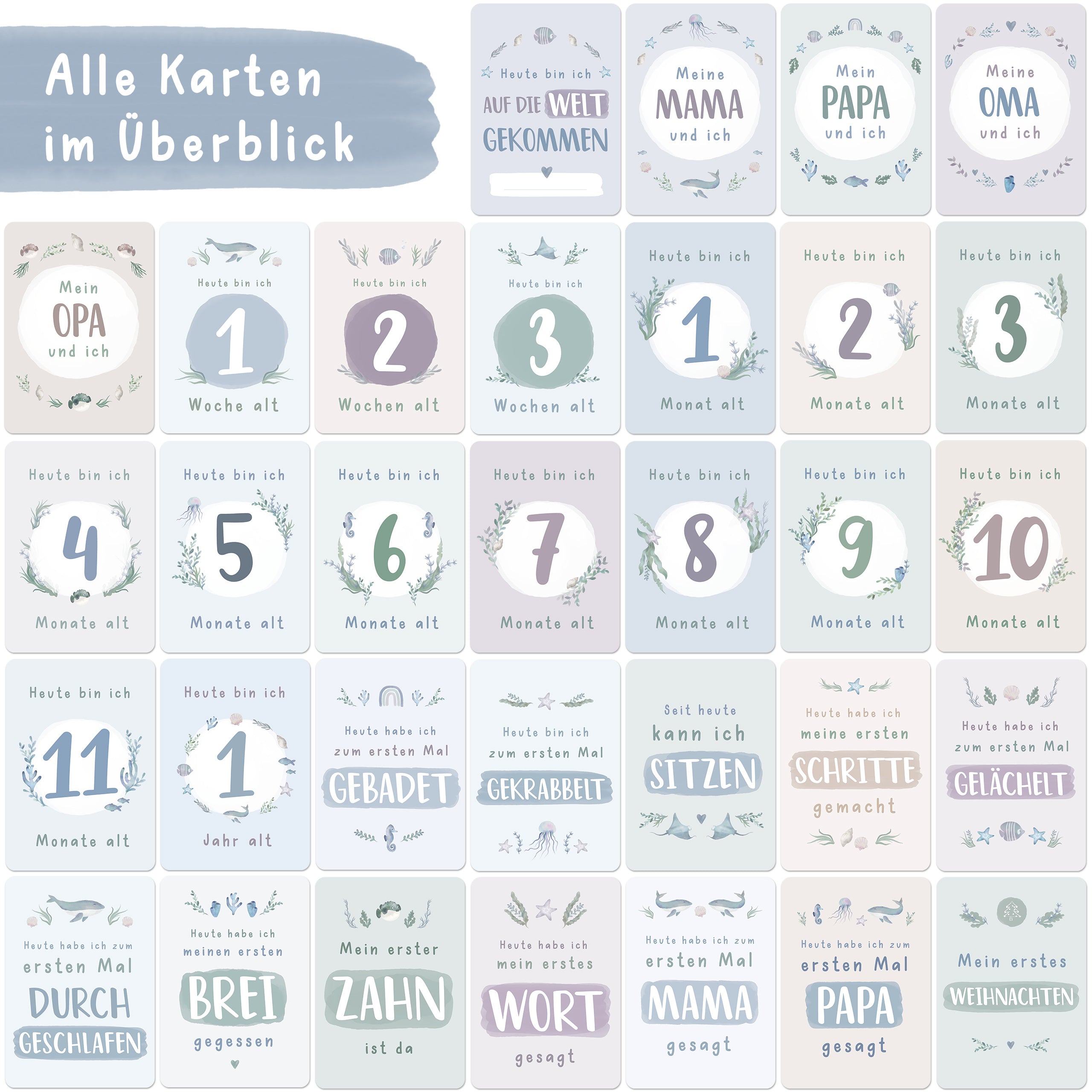 Meilensteinkarten Baby Blau