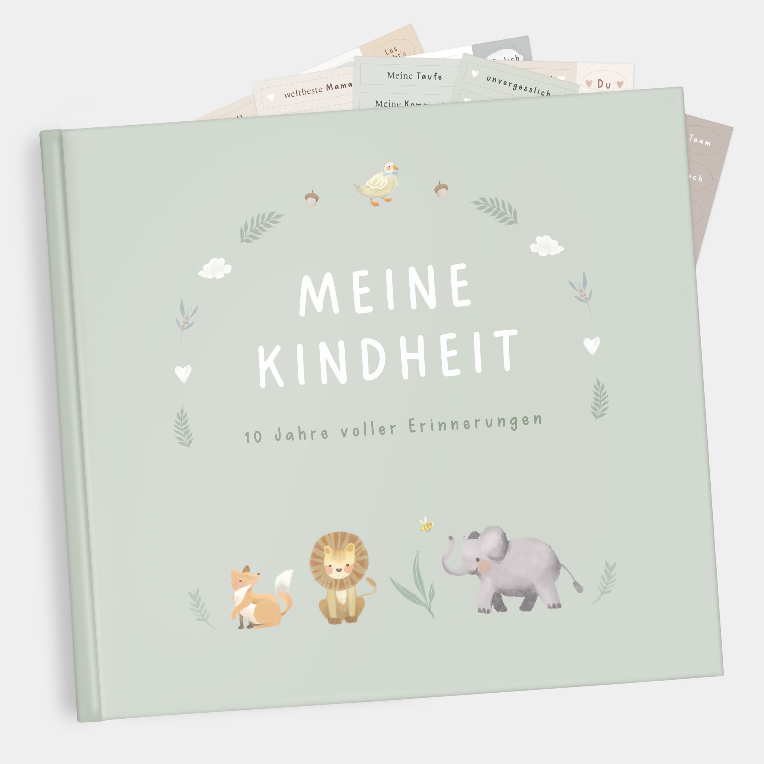 Erinnerungsalbum Meine Kindheit Salbei